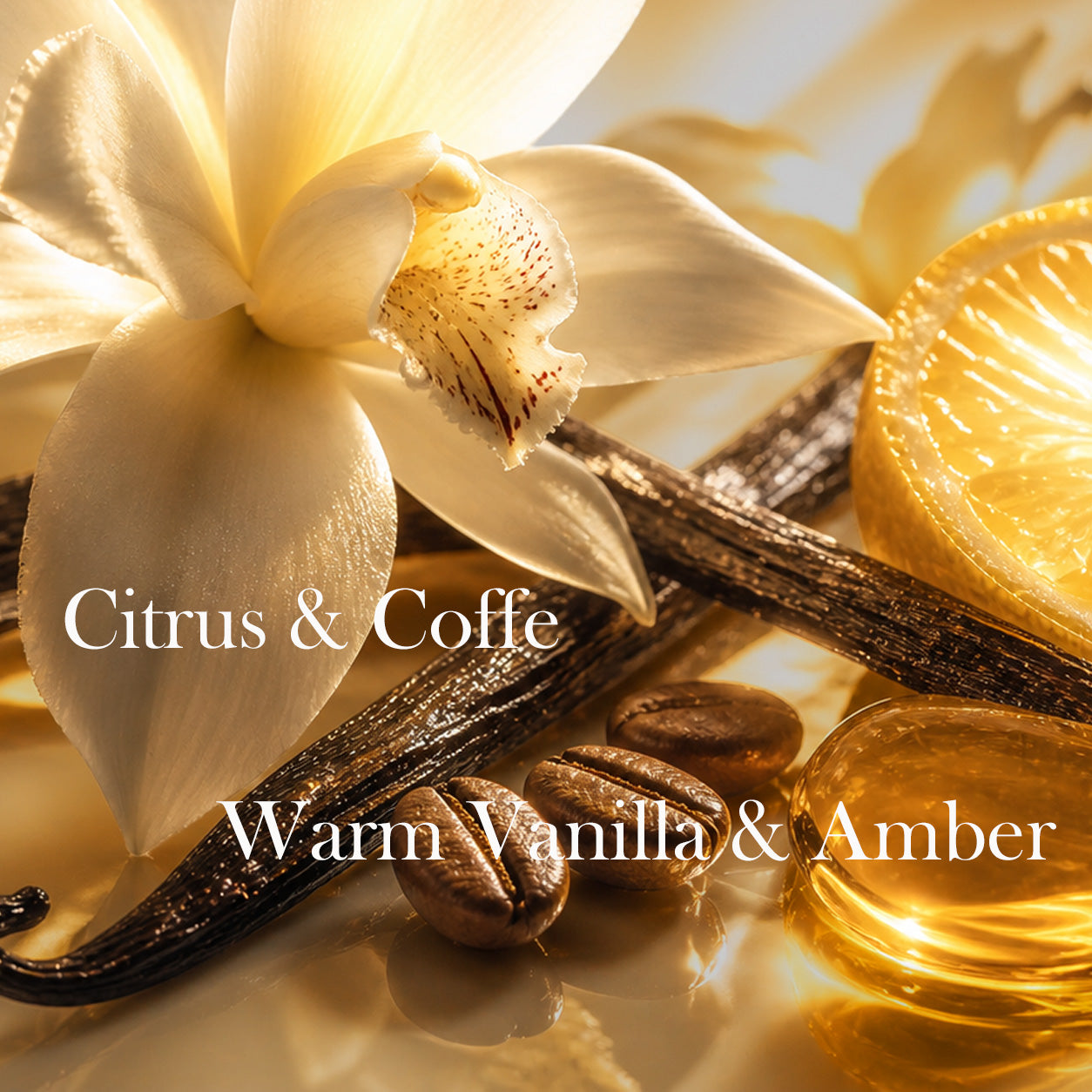 Vanilla beans, coffee beans, and a vanilla flower with text 'Citrus & Coffee, Warm Vanilla & Amber' of Alfamarker Perfume