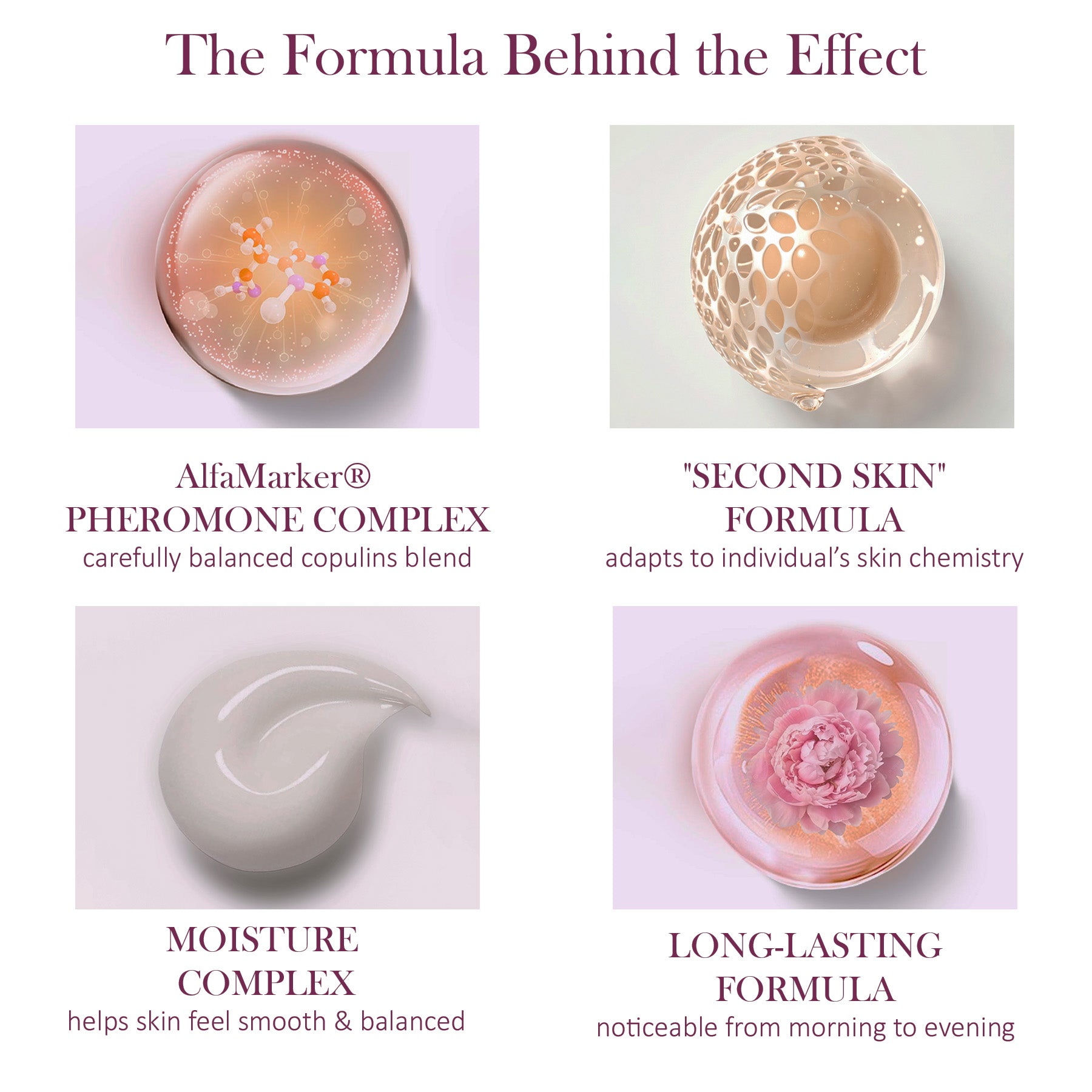 infografc of formula ALFAMARKER Instinct