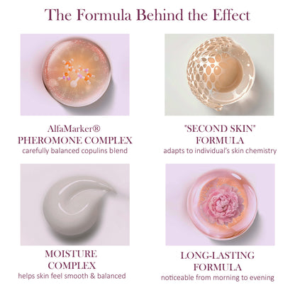 infografc of formula ALFAMARKER Instinct