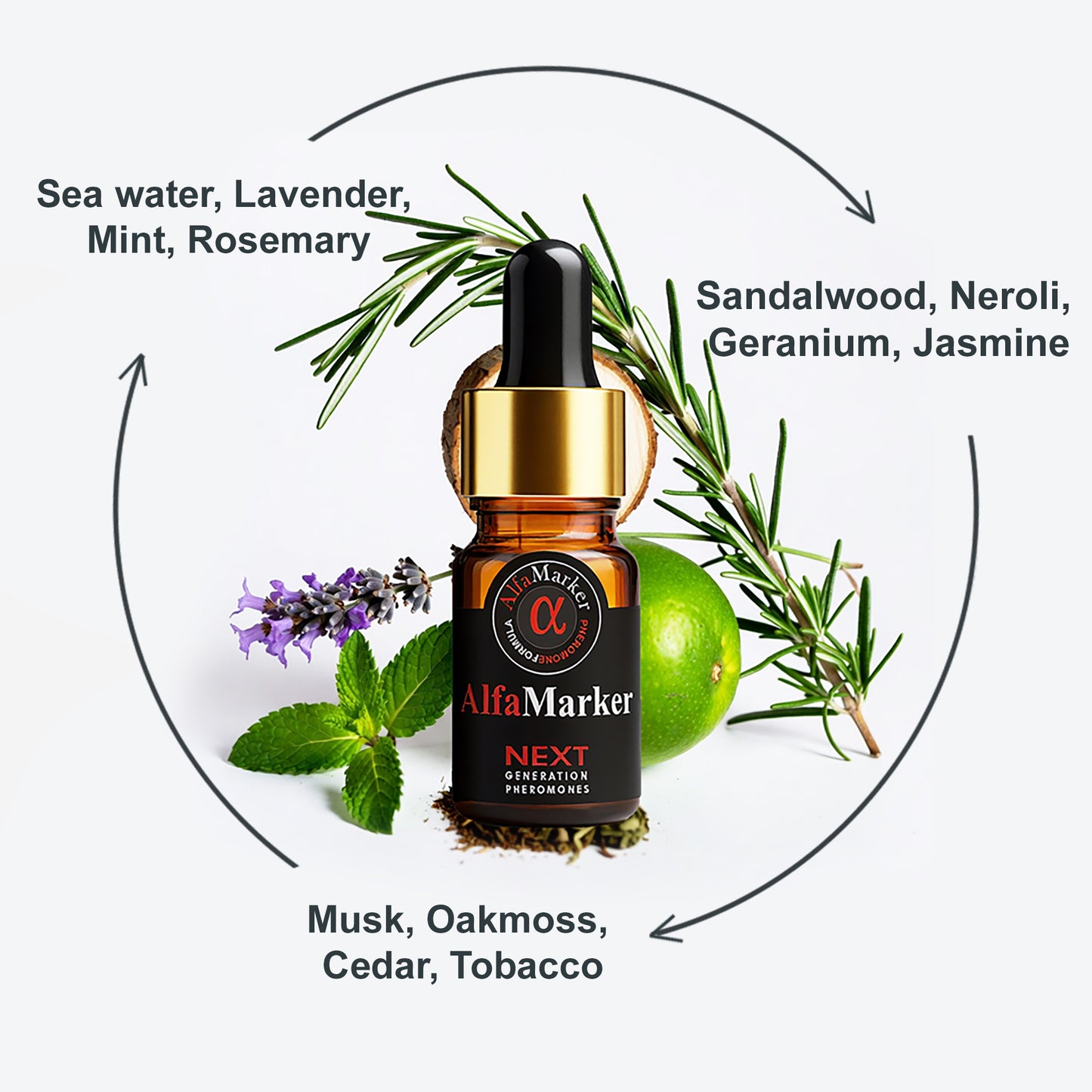 Pheromone Oil Perfume for Men 5 ml